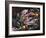 Still Life with Fish, Shellfish and Vegetables-Klaus P^ Exner-Framed Photographic Print