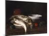 Still Life with Fish-Robert Blum-Mounted Giclee Print