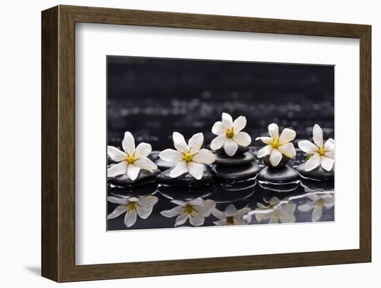 Still Life with Four Gardenia with Therapy Stones-crystalfoto-Framed Photographic Print