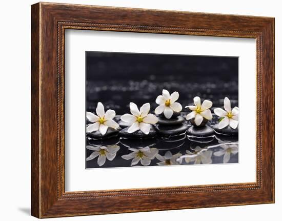 Still Life with Four Gardenia with Therapy Stones-crystalfoto-Framed Photographic Print