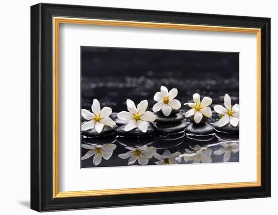 Still Life with Four Gardenia with Therapy Stones-crystalfoto-Framed Photographic Print