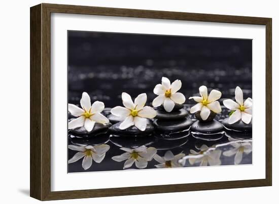 Still Life with Four Gardenia with Therapy Stones-crystalfoto-Framed Photographic Print