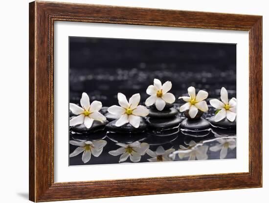 Still Life with Four Gardenia with Therapy Stones-crystalfoto-Framed Photographic Print