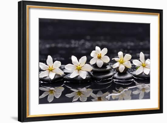 Still Life with Four Gardenia with Therapy Stones-crystalfoto-Framed Photographic Print