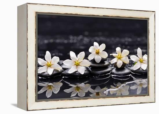 Still Life with Four Gardenia with Therapy Stones-crystalfoto-Framed Premier Image Canvas