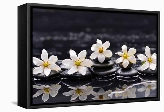 Still Life with Four Gardenia with Therapy Stones-crystalfoto-Framed Premier Image Canvas