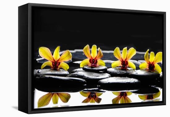 Still Life with Four Orchid with Stones on Water Drops-crystalfoto-Framed Premier Image Canvas