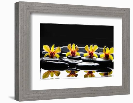 Still Life with Four Orchid with Stones on Water Drops-crystalfoto-Framed Photographic Print