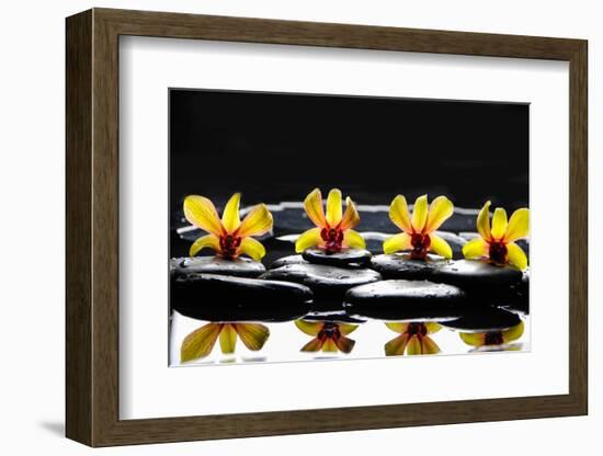 Still Life with Four Orchid with Stones on Water Drops-crystalfoto-Framed Photographic Print