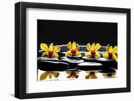 Still Life with Four Orchid with Stones on Water Drops-crystalfoto-Framed Photographic Print