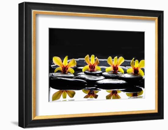 Still Life with Four Orchid with Stones on Water Drops-crystalfoto-Framed Photographic Print