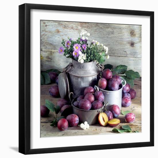 Still Life with Fresh Plums in and in Front of Pots & Pans-null-Framed Photographic Print