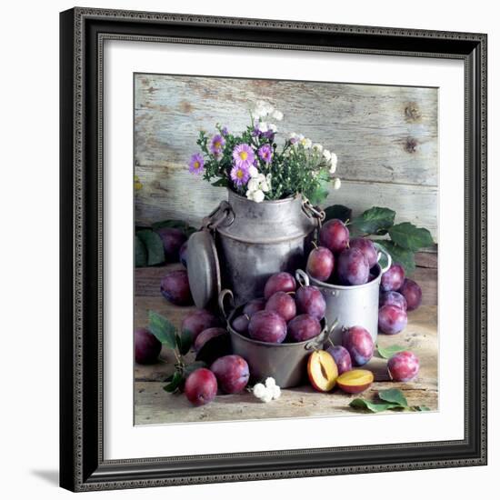 Still Life with Fresh Plums in and in Front of Pots & Pans-null-Framed Photographic Print