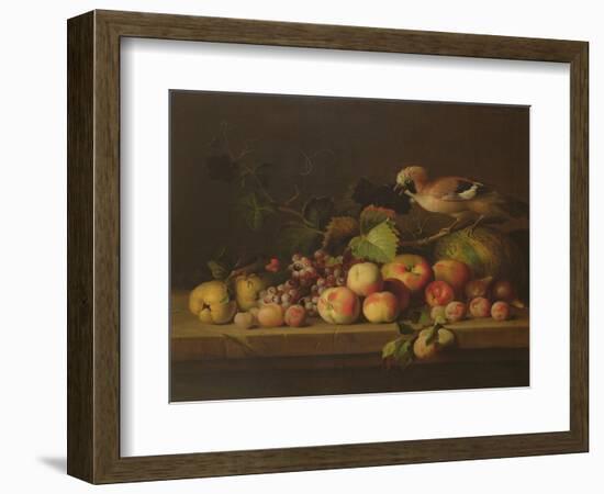 Still Life with Fruit, a Jay and a Parrot (Oil on Canvas)-Jakob Bogdani Or Bogdany-Framed Giclee Print