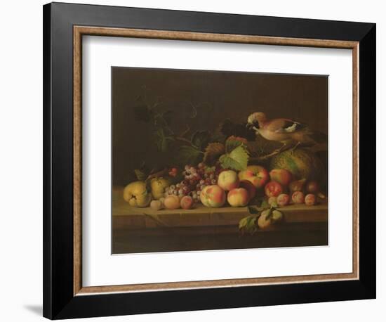 Still Life with Fruit, a Jay and a Parrot (Oil on Canvas)-Jakob Bogdani Or Bogdany-Framed Giclee Print