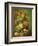 Still Life with Fruit and Flowers-Jan van Os-Framed Giclee Print