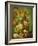 Still Life with Fruit and Flowers-Jan van Os-Framed Giclee Print