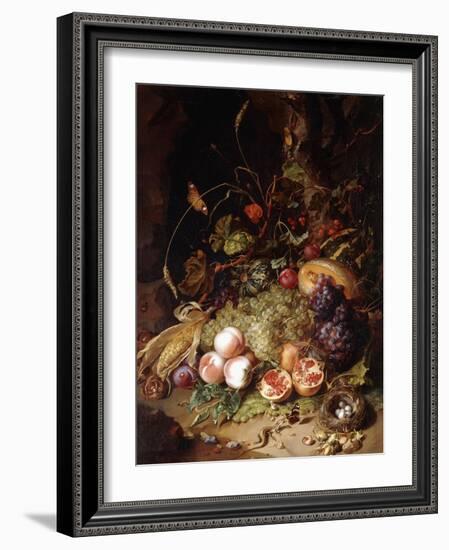 Still-Life with Fruit and Insects-Rachel Ruysch-Framed Giclee Print