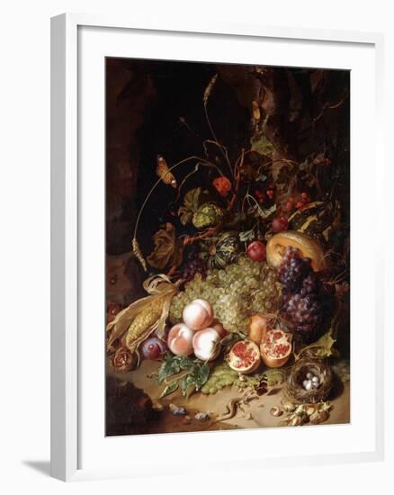 Still-Life with Fruit and Insects-Rachel Ruysch-Framed Giclee Print