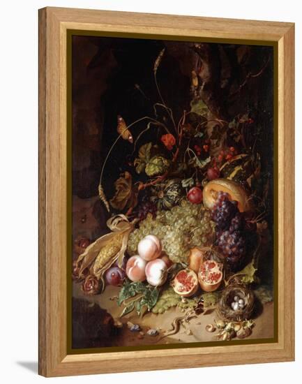 Still-life with Fruit and Insects-Rachel Ruysch-Framed Premier Image Canvas