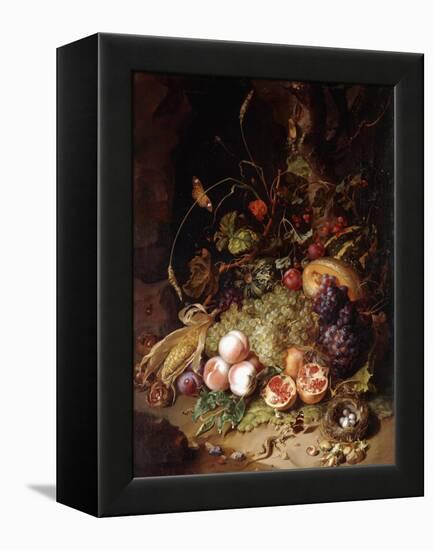 Still-life with Fruit and Insects-Rachel Ruysch-Framed Premier Image Canvas