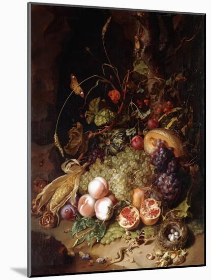 Still-life with Fruit and Insects-Rachel Ruysch-Mounted Giclee Print