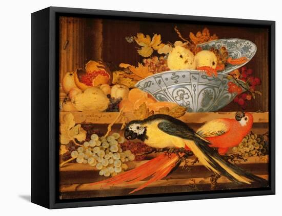 Still Life with Fruit and Macaws, 1622-Balthasar van der Ast-Framed Premier Image Canvas