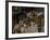 Still-Life with Fruit Basket, c.1888-Paul Cézanne-Framed Giclee Print