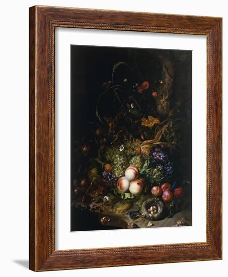 Still Life with Fruit, Flowers, Reptiles and Insects-Rachel Ruysch-Framed Giclee Print