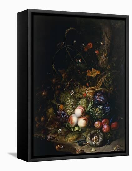 Still Life with Fruit, Flowers, Reptiles and Insects-Rachel Ruysch-Framed Premier Image Canvas