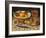 Still life with fruit, pastry and sweetmeat-Georg Flegel-Framed Giclee Print