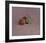 Still Life with Fruit-Odilon Redon-Framed Premium Giclee Print