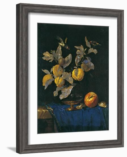 Still Life with Fruit-Willem van Aelst-Framed Giclee Print