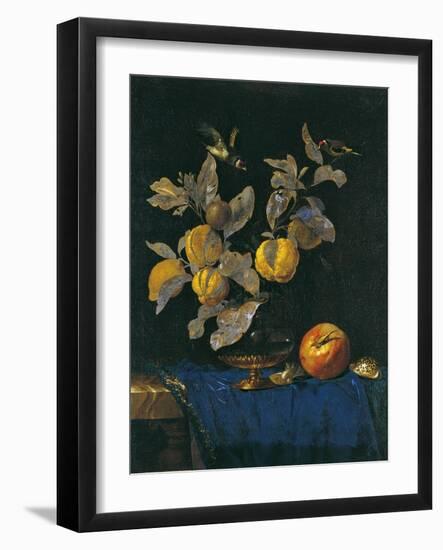 Still Life with Fruit-Willem van Aelst-Framed Giclee Print