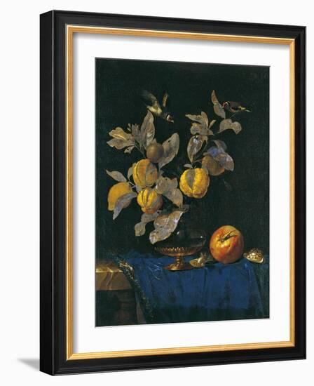 Still Life with Fruit-Willem van Aelst-Framed Giclee Print