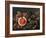 Still Life with Fruit-Giuseppe Recco-Framed Giclee Print