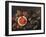 Still Life with Fruit-Giuseppe Recco-Framed Giclee Print