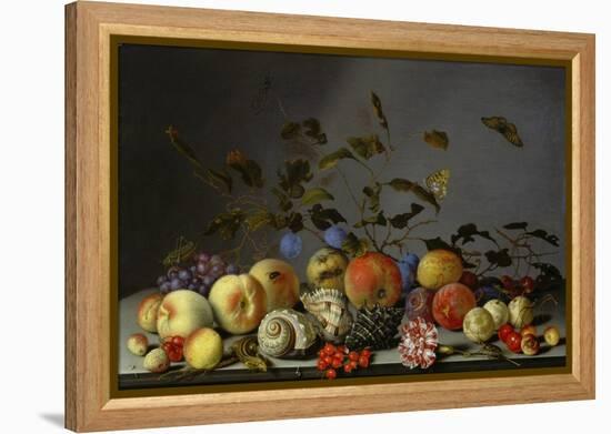 Still Life with Fruits-Balthasar van der Ast-Framed Premier Image Canvas