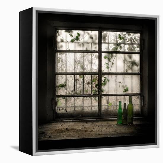 Still-Life with Glass Bottle-Vito Guarino-Framed Premier Image Canvas