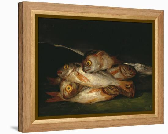 Still Life with Golden Bream, 1808-1812-Francisco de Goya-Framed Premier Image Canvas