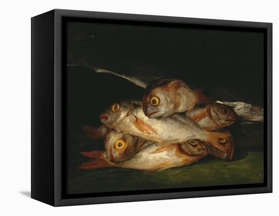 Still Life with Golden Bream, 1808-1812-Francisco de Goya-Framed Premier Image Canvas