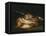 Still Life with Golden Bream, 1808-1812-Francisco de Goya-Framed Premier Image Canvas