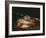 Still Life with Golden Bream, 1808-1812-Francisco de Goya-Framed Giclee Print