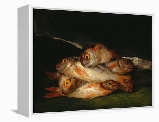 Still Life With Golden Bream-Francisco de Goya-Framed Premier Image Canvas