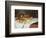 Still Life with Grapes and Fruit-Claude Monet-Framed Art Print