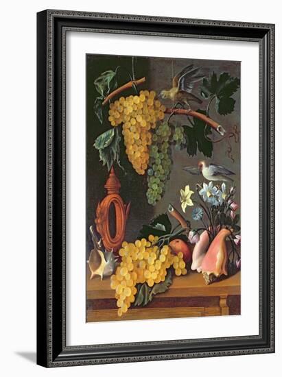 Still Life with Grapes, Birds, Flowers and Shells-Juan de Espinosa-Framed Giclee Print