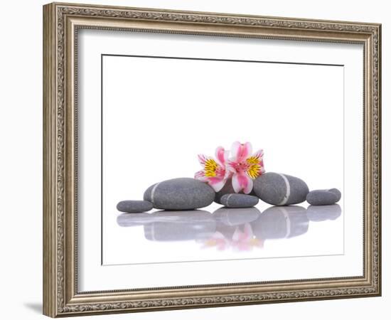 Still Life with Gray Stones and Orchid --Apollofoto-Framed Photographic Print