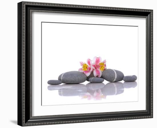 Still Life with Gray Stones and Orchid --Apollofoto-Framed Photographic Print