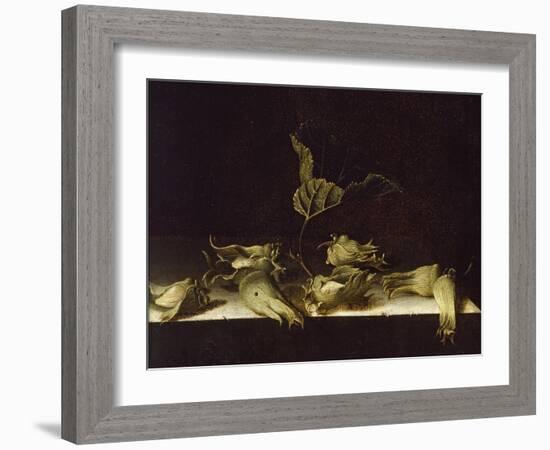 Still Life with Hazel-Nuts, 1696-Adrian Coorte-Framed Giclee Print