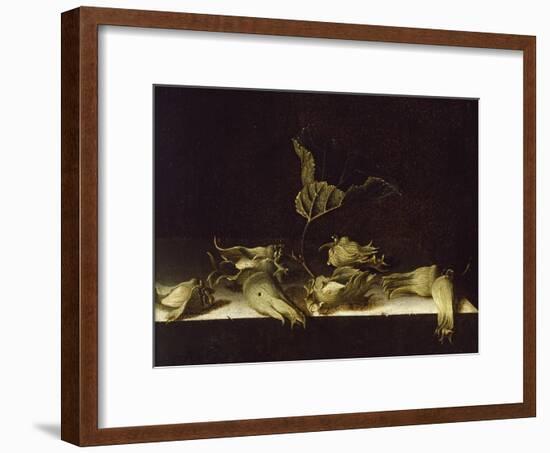 Still Life with Hazel-Nuts, 1696-Adrian Coorte-Framed Giclee Print